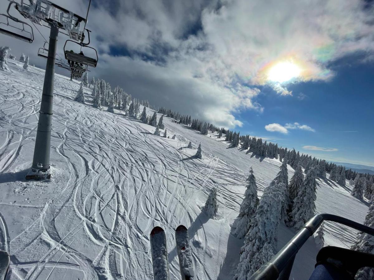 Apartament Kopaonik Panorama Zewnętrze zdjęcie